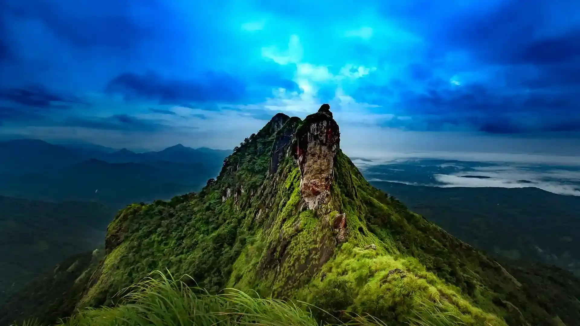 Munnar Hill Stations, Wayanad, Aleppey, Kovalam are some of the most popular tourism destinations of Kerala - God's own country.