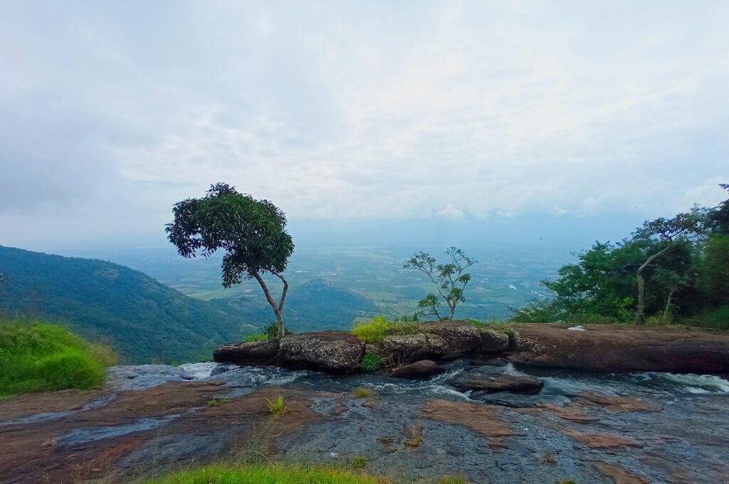 Thekkady
