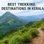 Best Trekking Destinations in Kerala: Top Scenic Trails for Every Adventure Lover