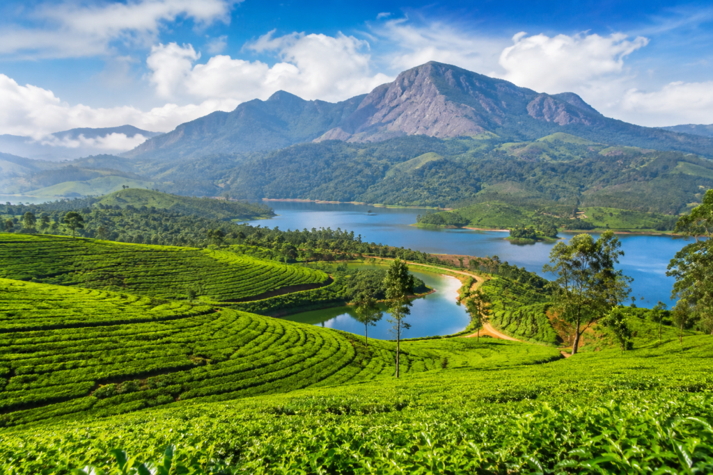 Munnar Tourism